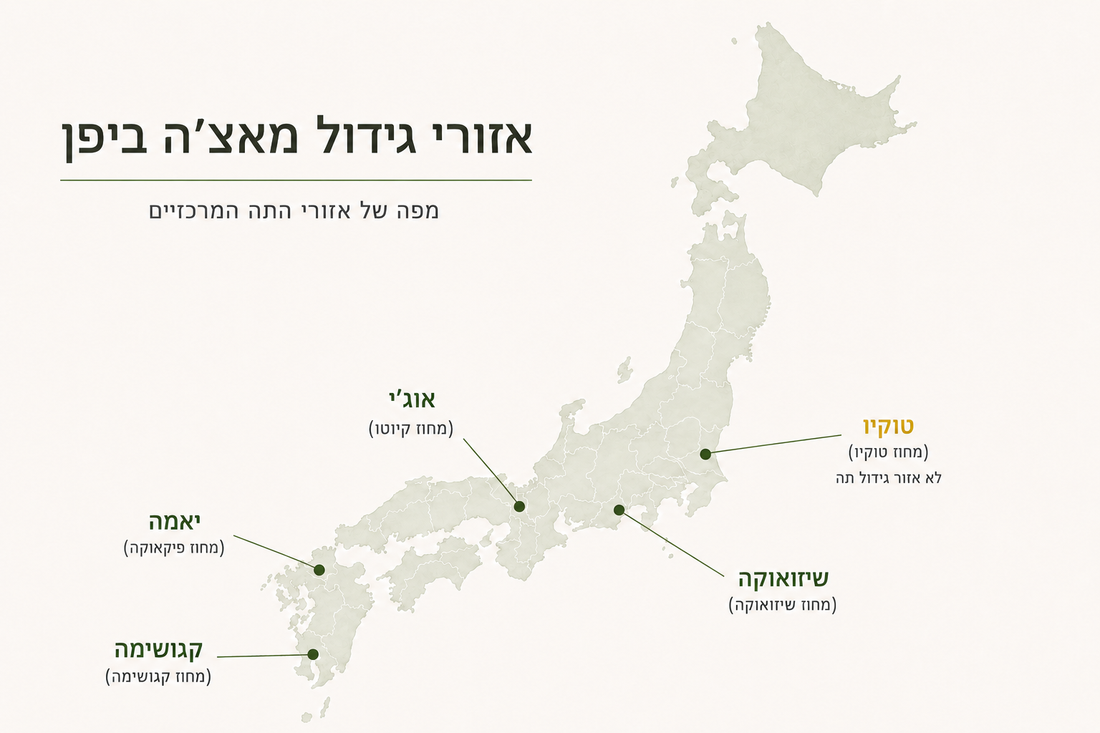 אוג׳י, קגושימה או שיזואוקה: האם למקום שבו גדלה המאצ׳ה באמת יש משמעות